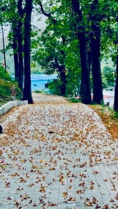 Cosmic Homes #River#Forest Dehradun Exteriör bild